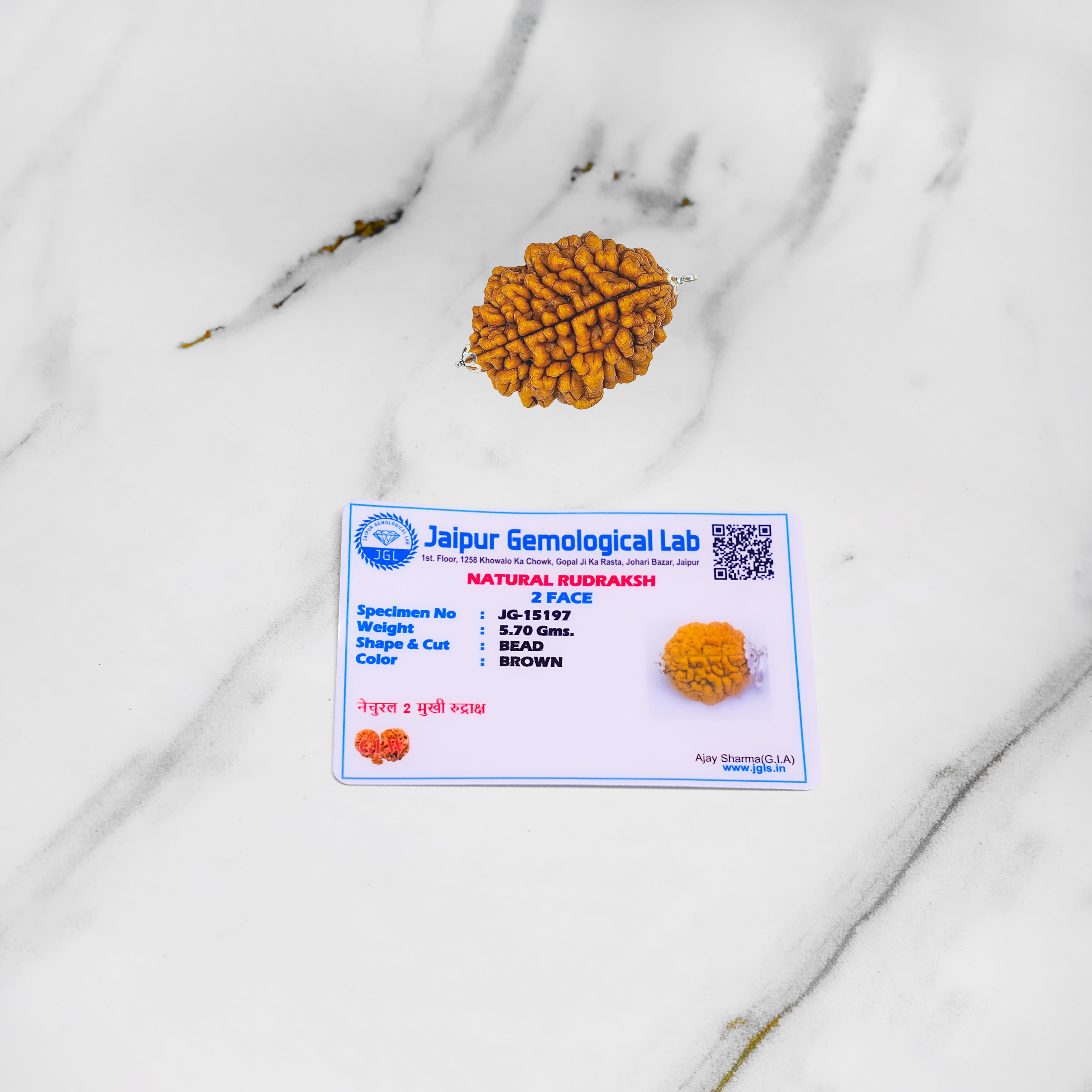 Rudraksh bead with Jaipur Gemological Lab certificate on a marble surface