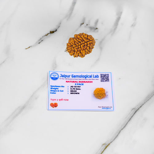 Rudraksh bead with Jaipur Gemological Lab certificate on a marble surface