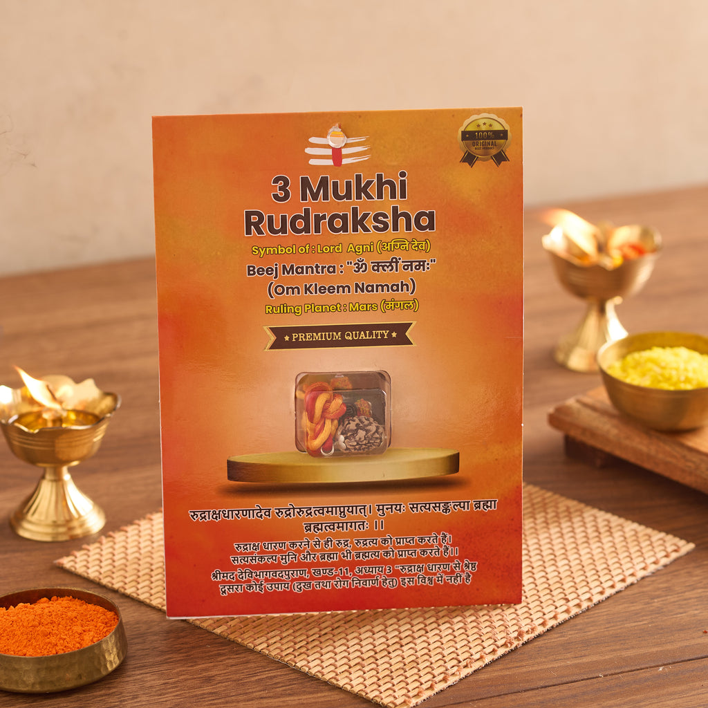 3 Mukhi Rudraksha Bead
