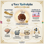 4 Mukhi Rudraksha pendant with certificate of origin on a decorative background