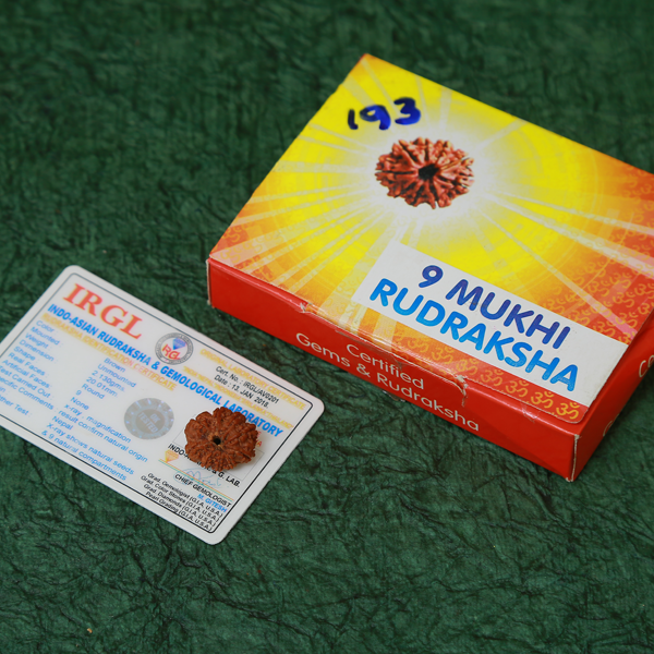 9 Mukhi Nepali Rudraksha (Certified).