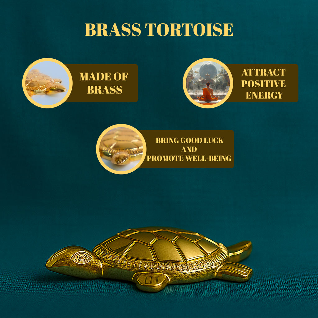 Brass tortoise with features highlighted on a dark blue background