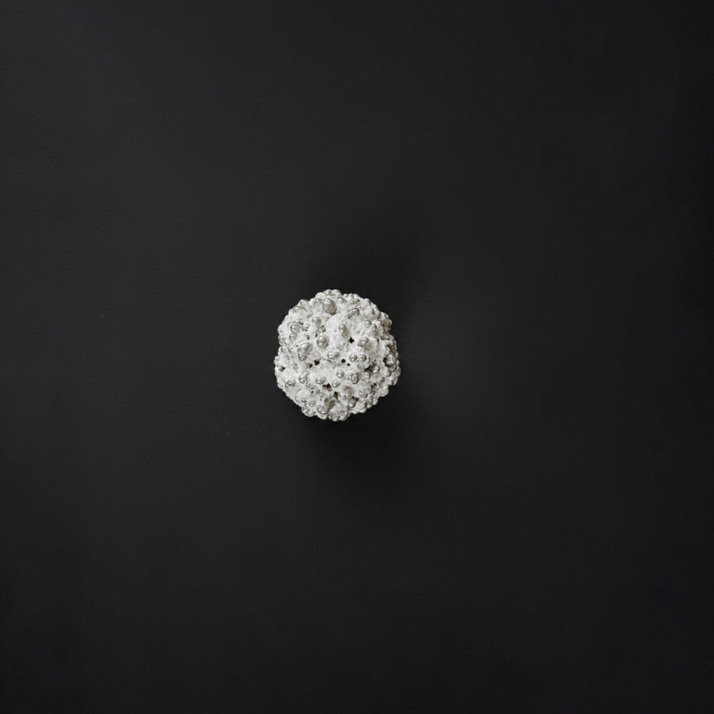 Mercury Rudraksha Bead