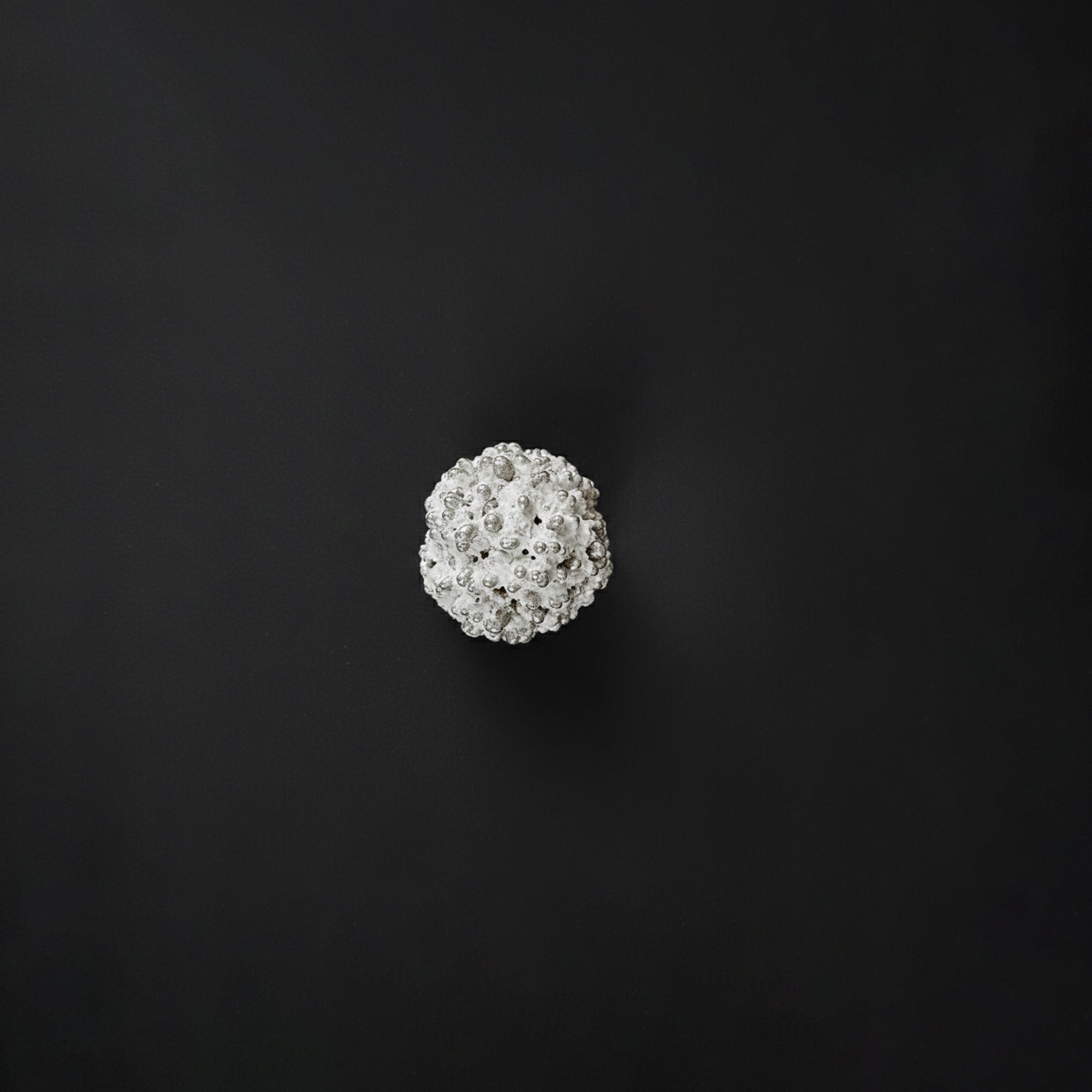 Mercury Rudraksha Bead