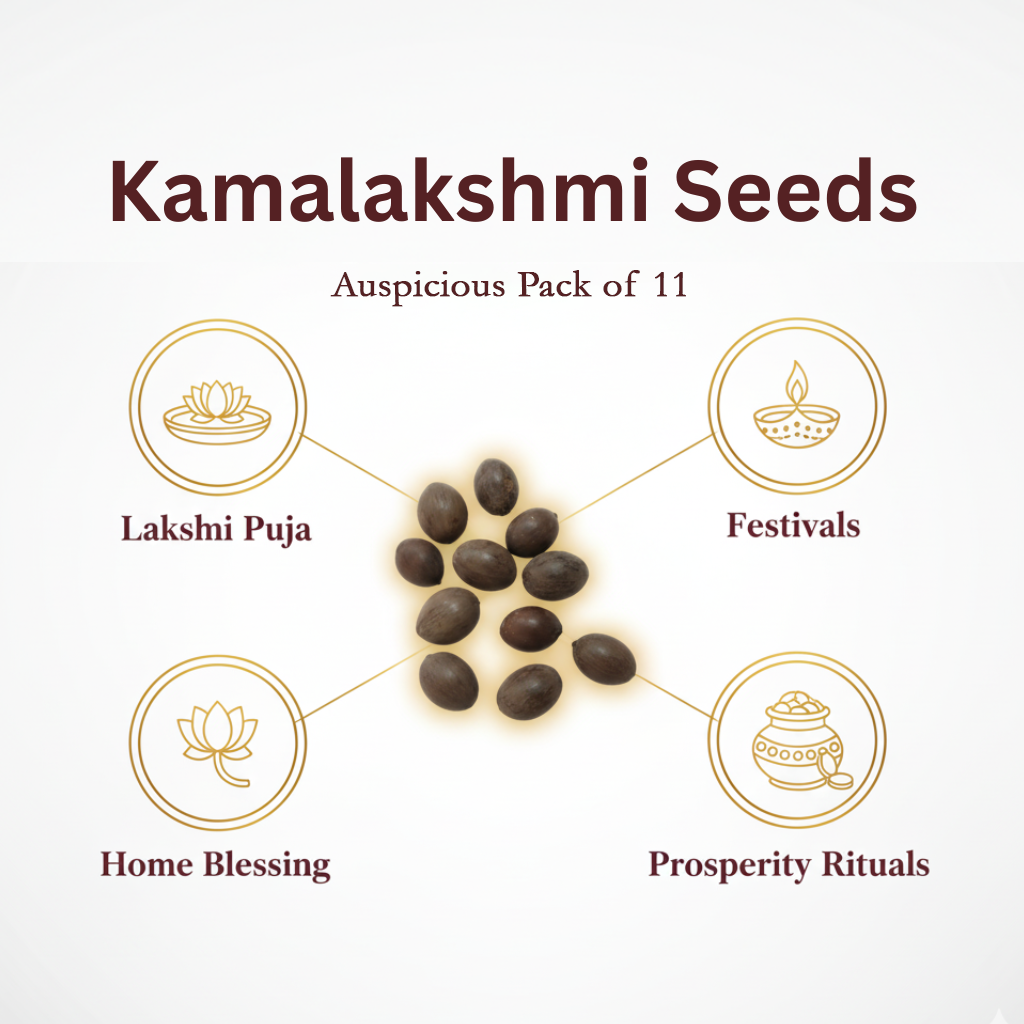Kamalakshi Seeds for Pooja and Meditation (10 pcs).