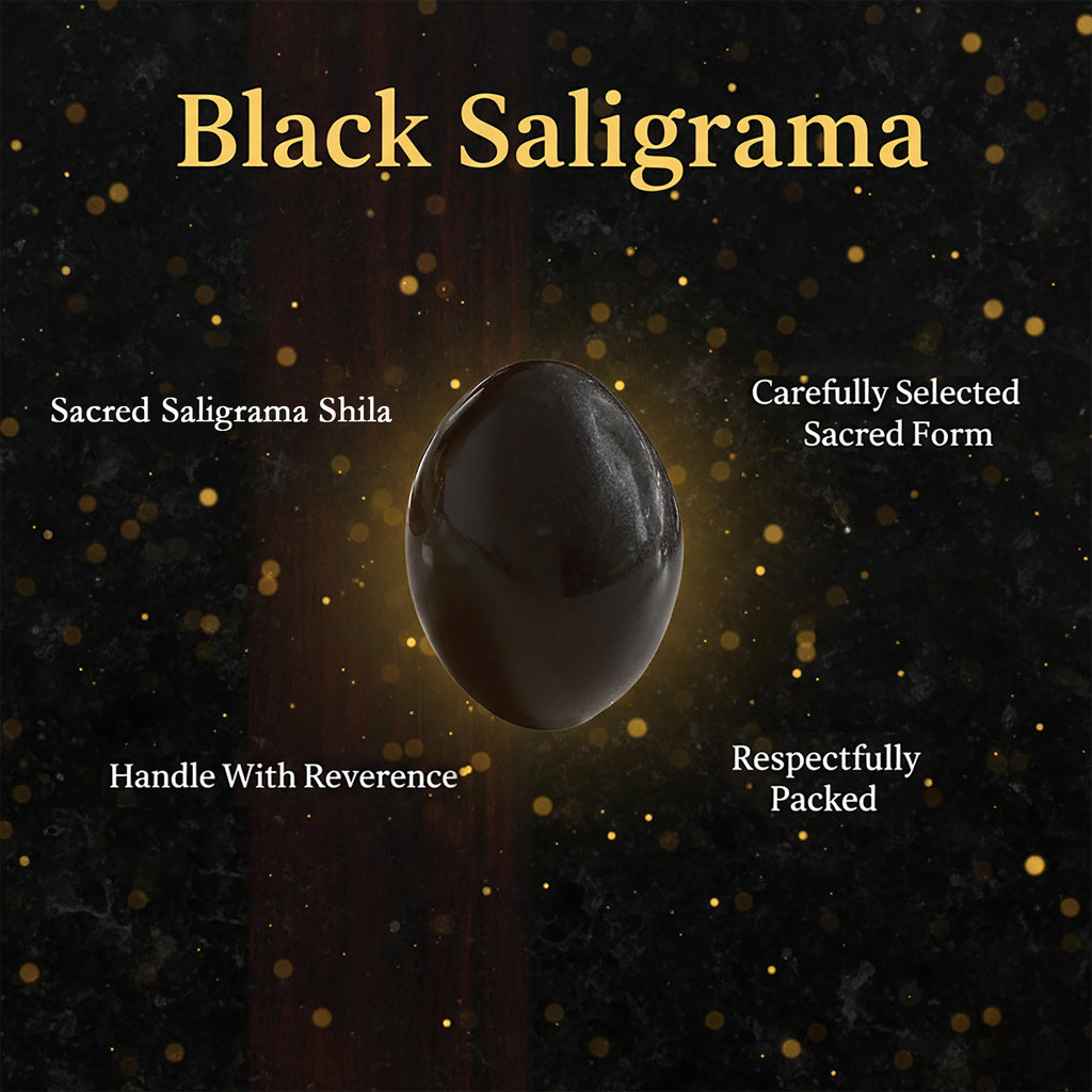 Black Shaligram Stone
