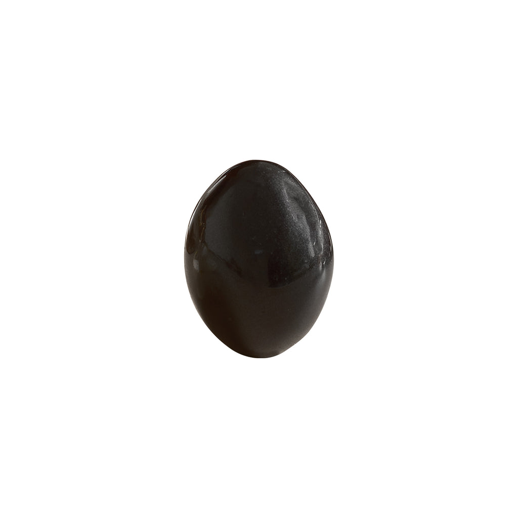 Black Shaligram Stone