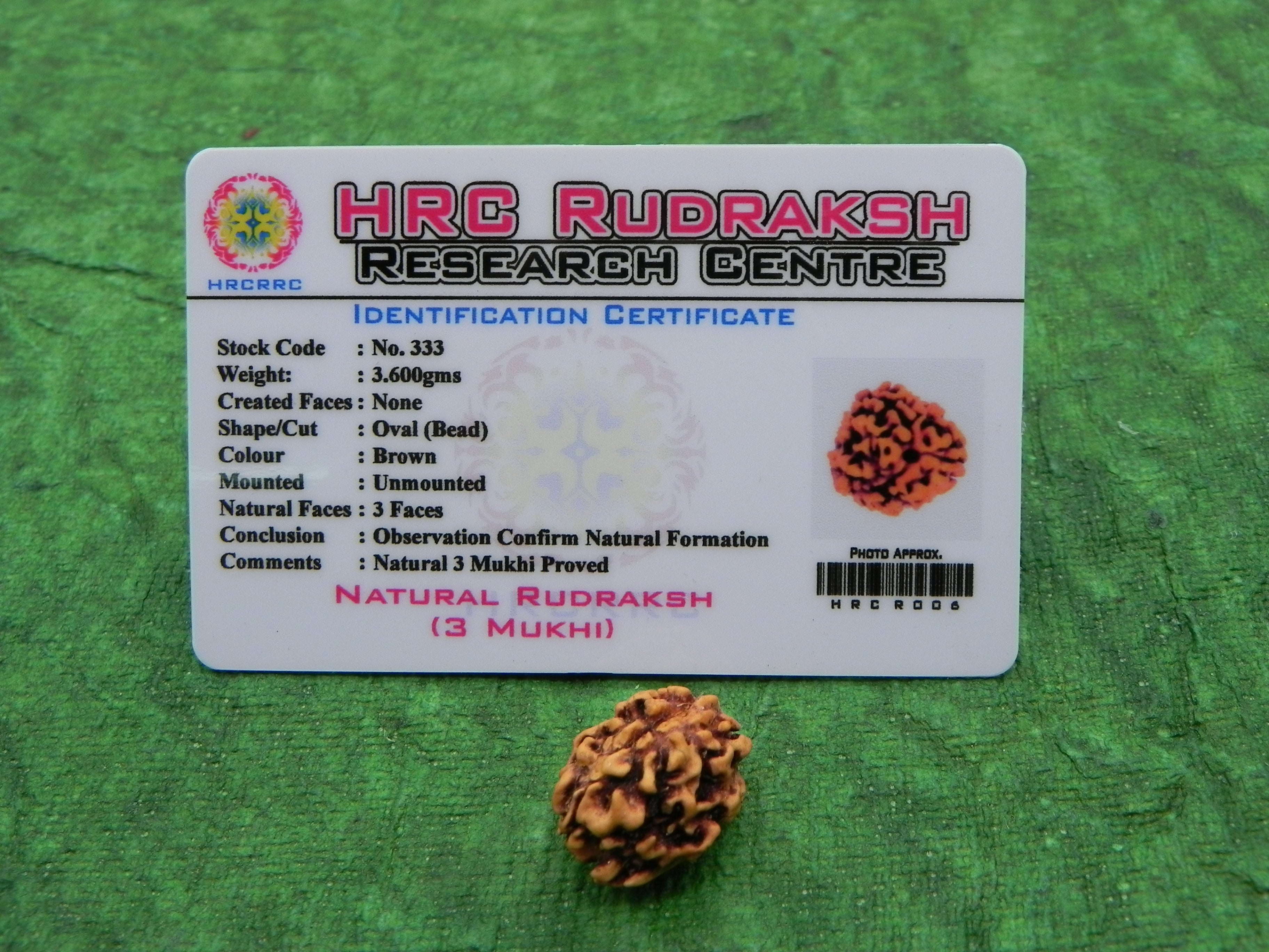 Certified 5 Mukhi Nepali Rudraksha