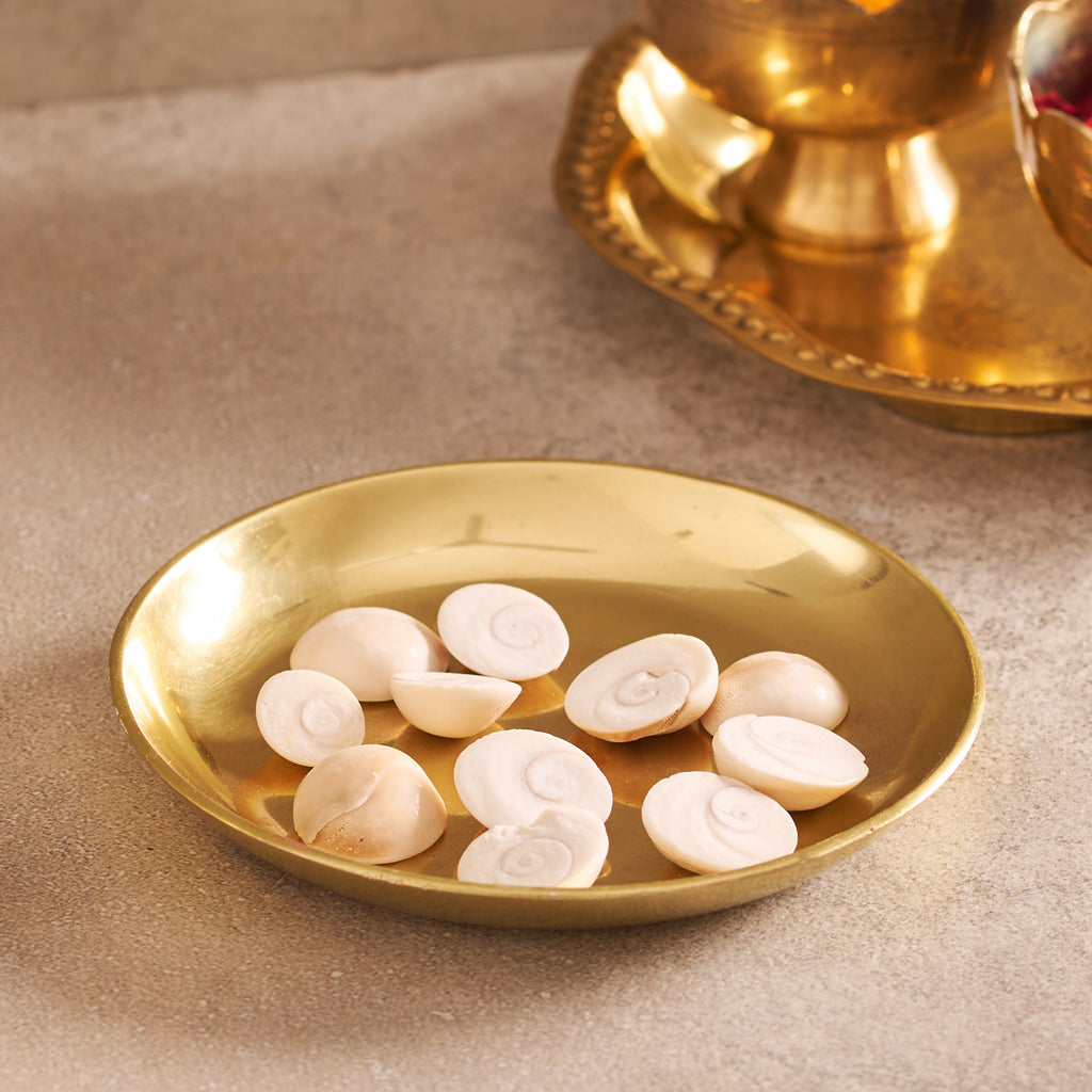 Gold plate with white seashells on a beige surface