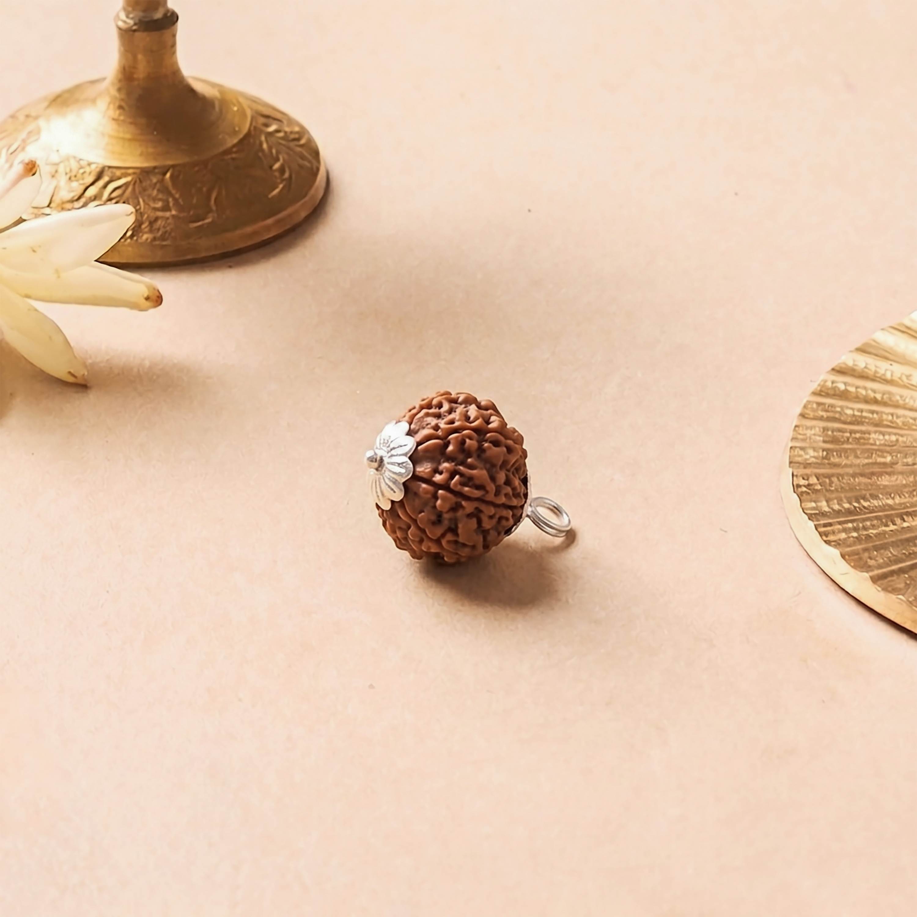 Certified 10 Mukhi Rudraksha Bead.