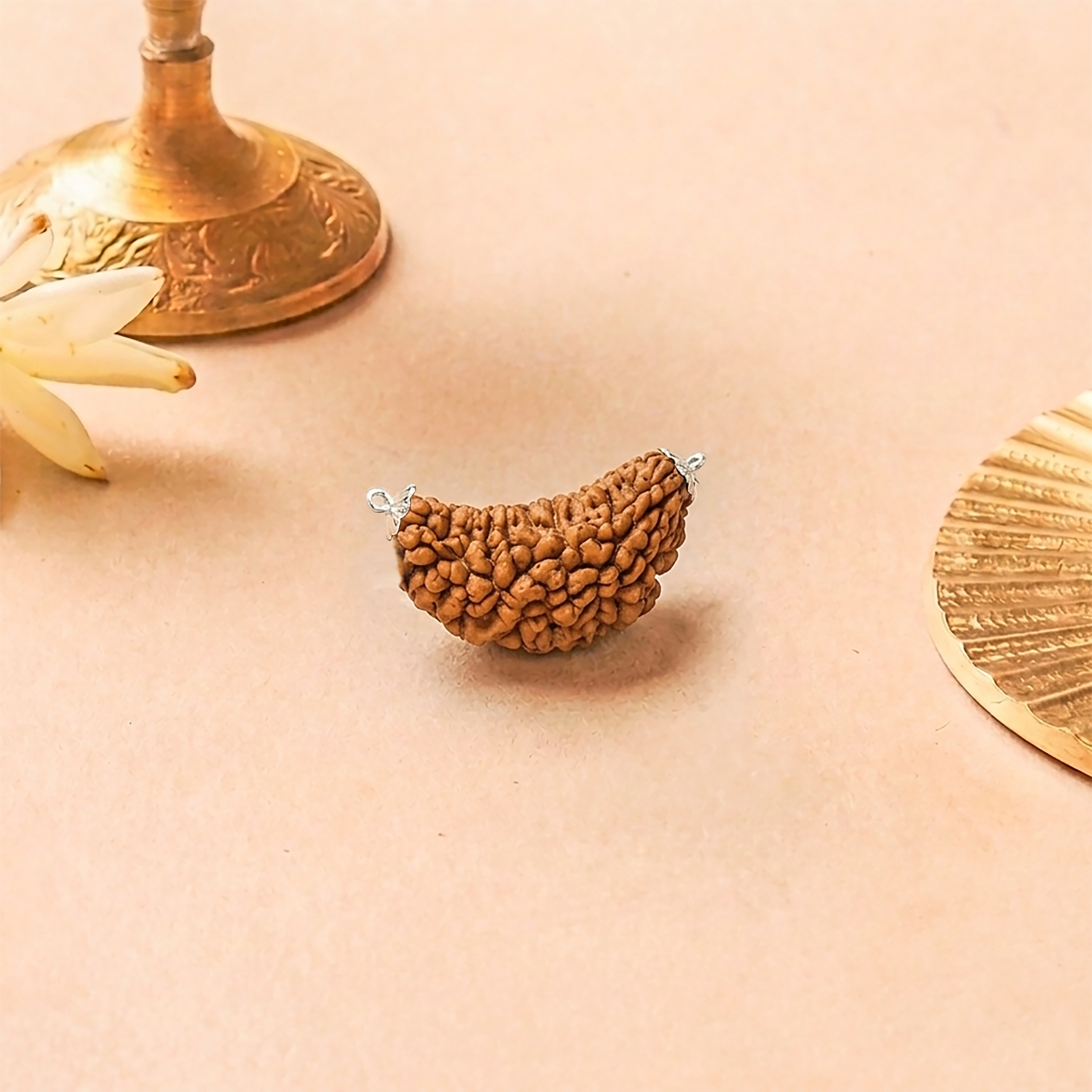 1 Mukhi Rudraksha Bead