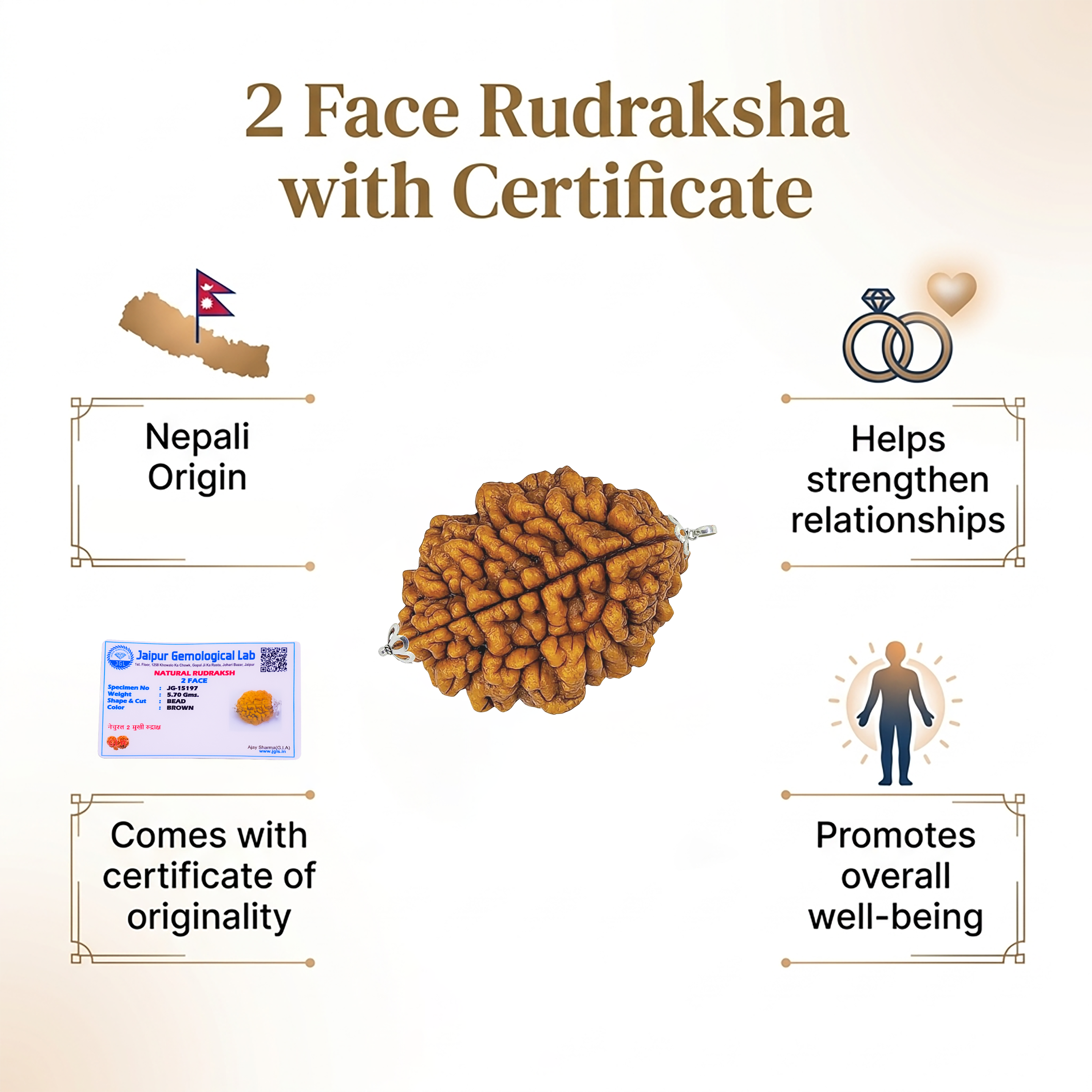 Two-face Rudraksha with Nepali origin, certificate of originality, and benefits listed on a beige background.