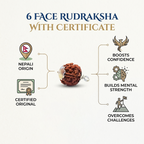 Advertisement for 6-face Rudraksha with Nepali origin, certification, and benefits on a light gray background.
