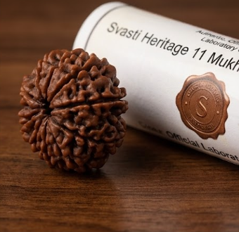 11 Mukhi Certified Rudraksha (Nepali Origin)