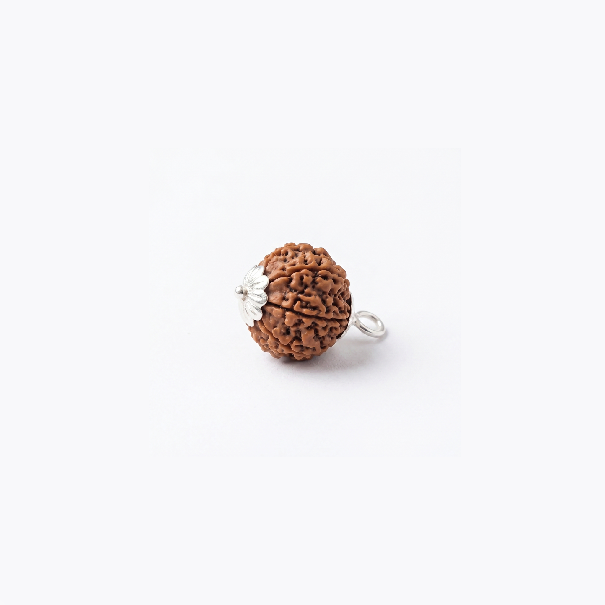 Certified 10 Mukhi Rudraksha Bead.