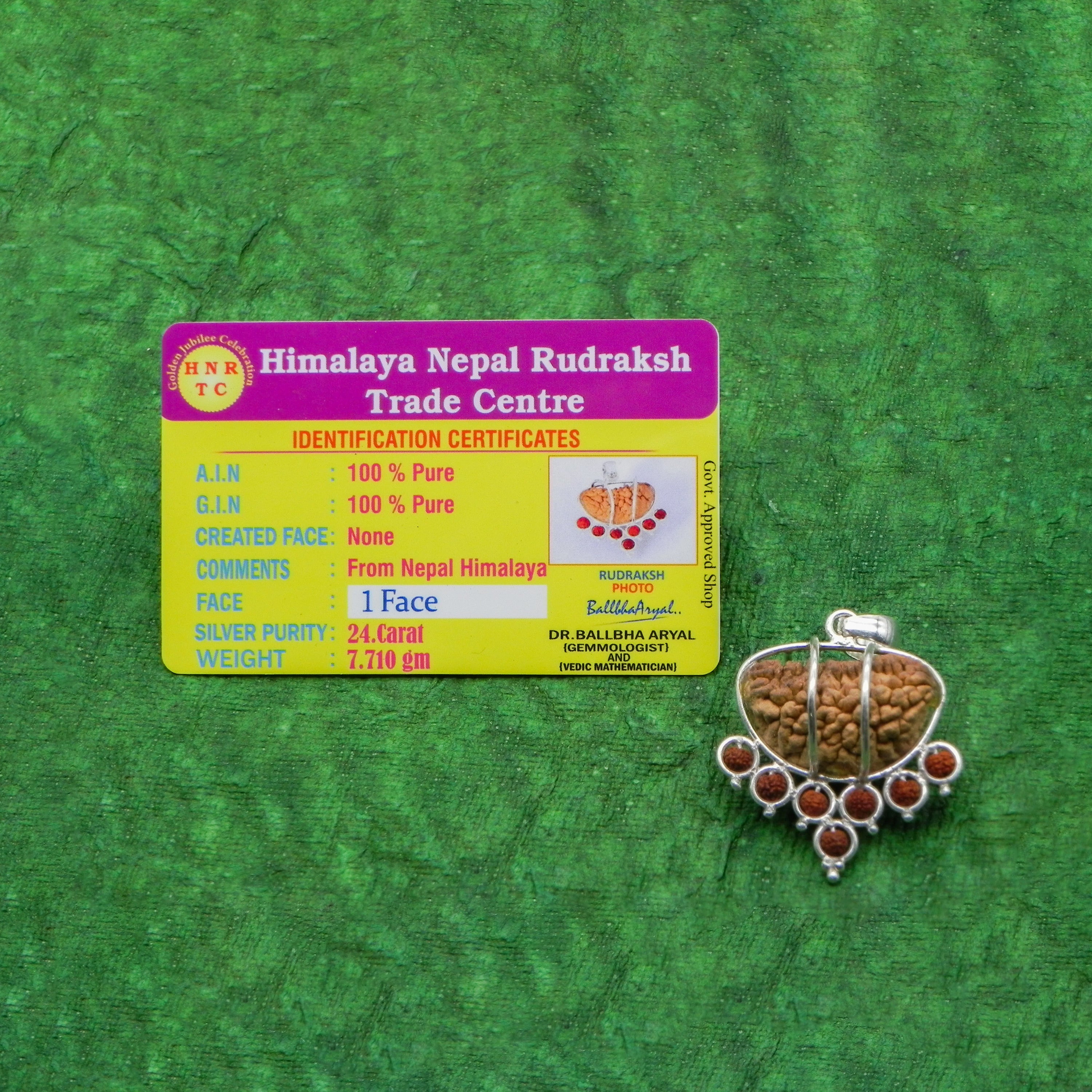 1 Mukhi Rudraksha Bead