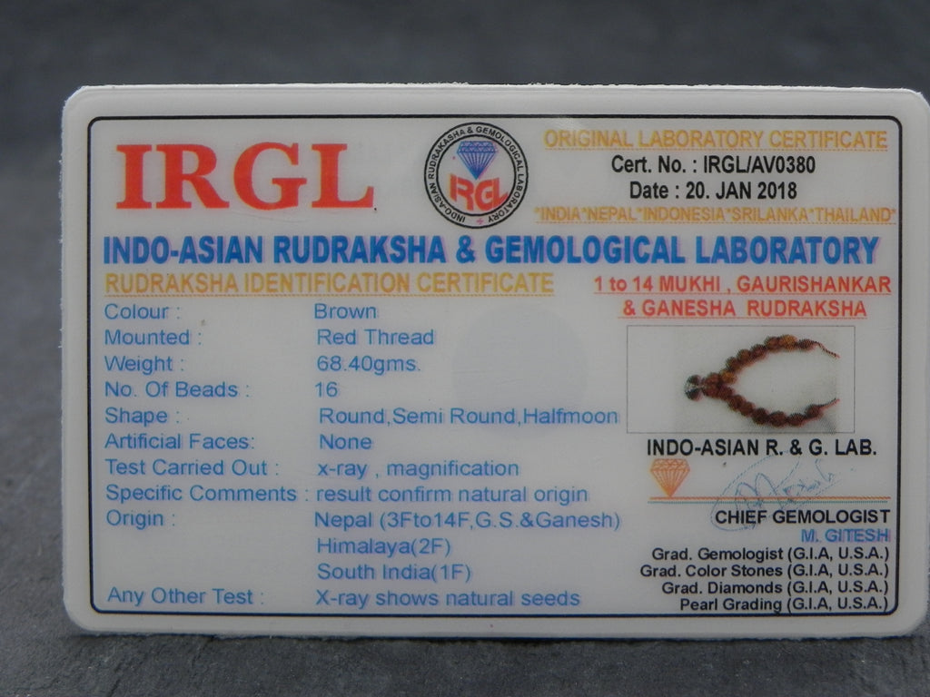 Rudhrakshi Mala