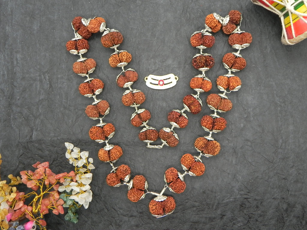 Pure Silver Double  Rudhrakshi Mala [ 33 Beads ]